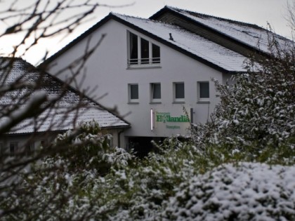 照片:  Hollandia